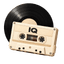 VinylIQ logo