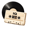 VinylIQ logo